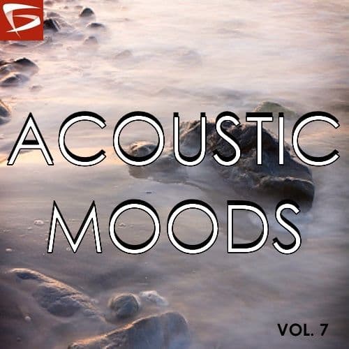 Acoustic Moods Volume 7