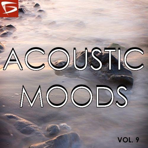 Acoustic Moods Volume 9