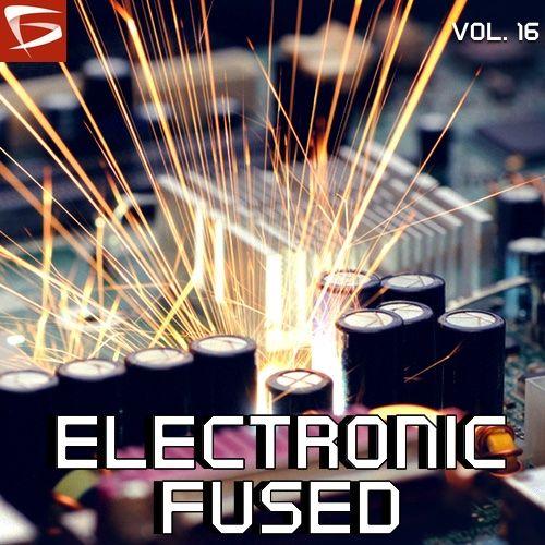 Electronic Fused Volume 16