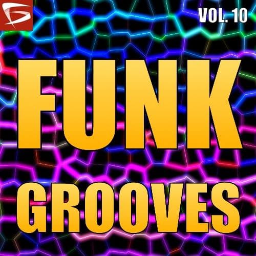 Funk Grooves Volume 10