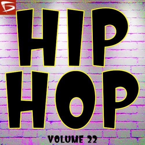 Hip Hop Volume 22
