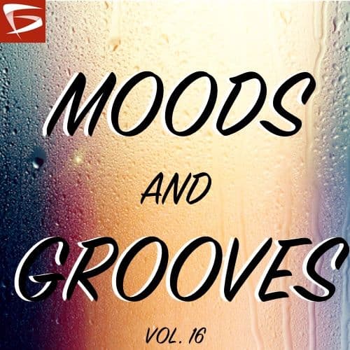 Moods And Grooves Volume 16