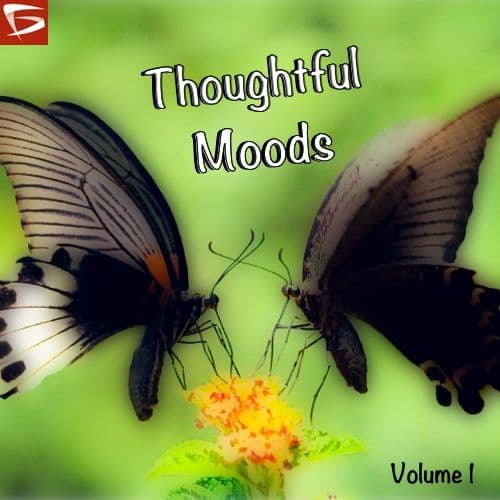 Thoughtful Moods Volume 1